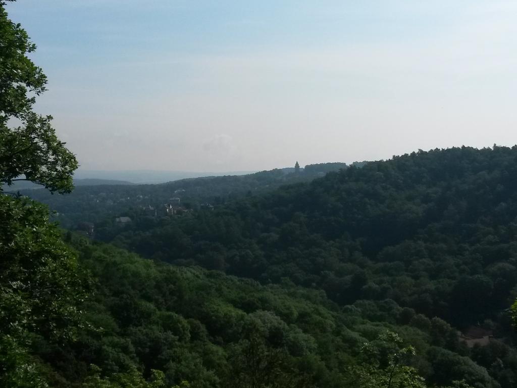 Villa Weitblick Eisenach Eksteriør billede